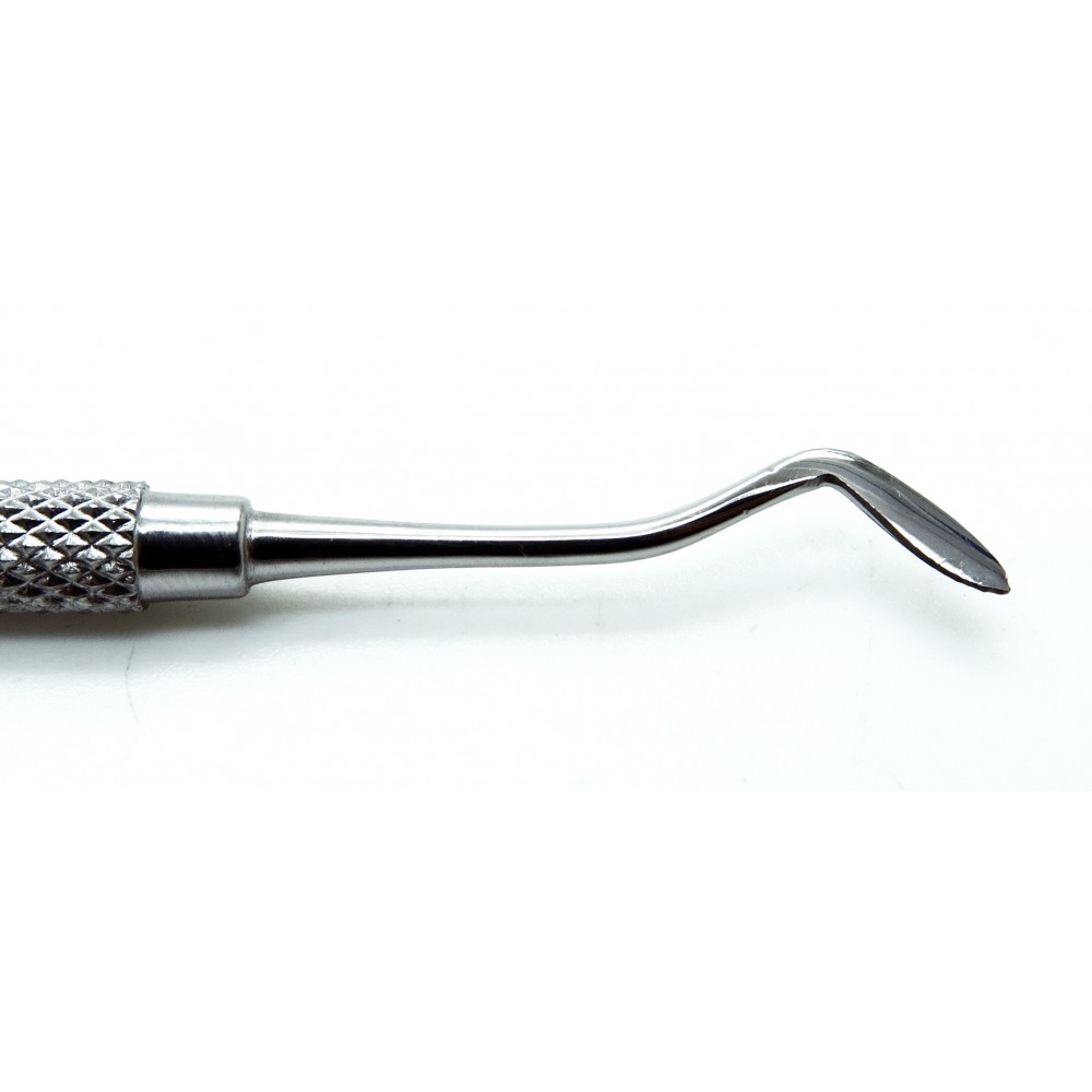 Dental Carvers Ward 2